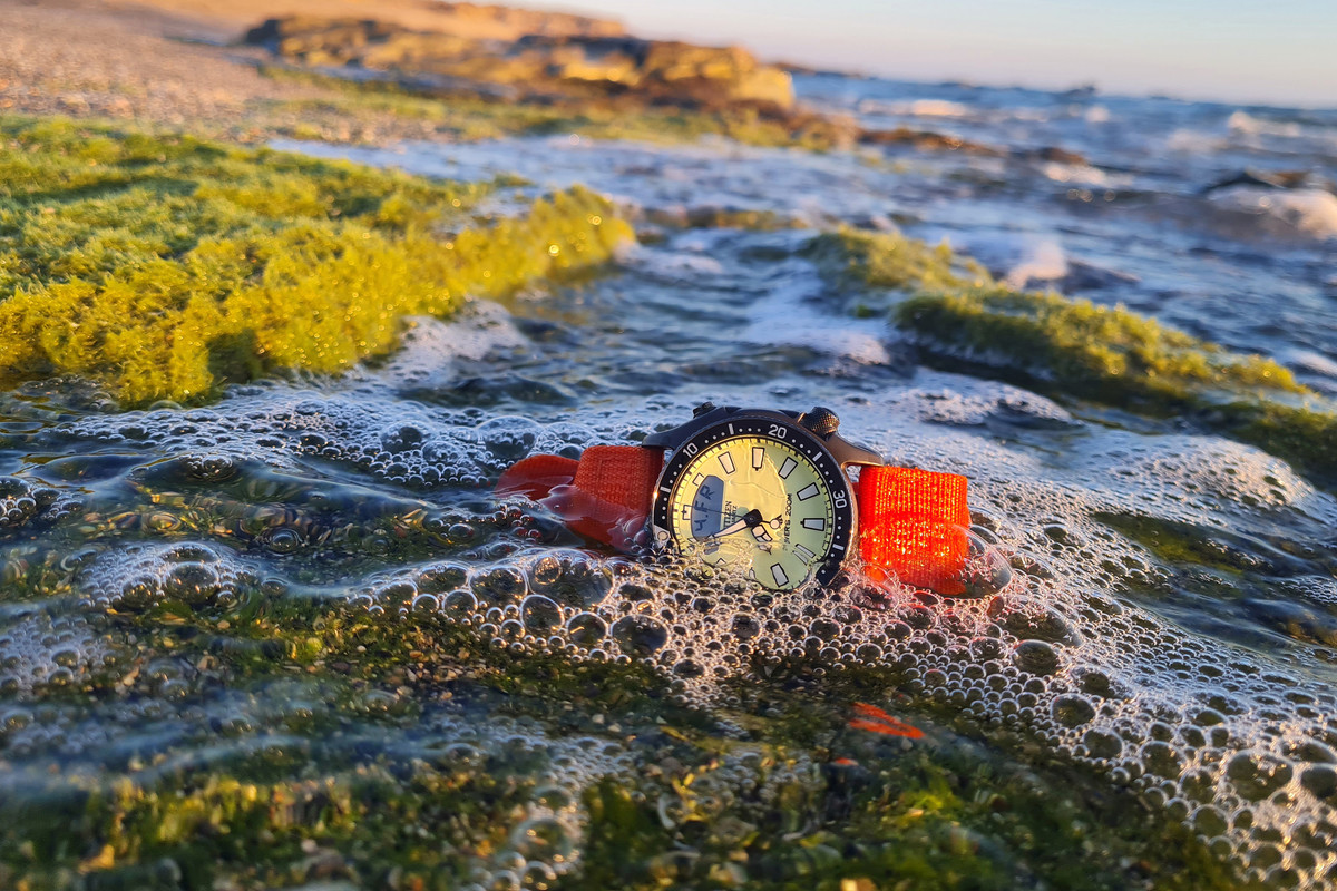 citizen_aqualand_04_19550S