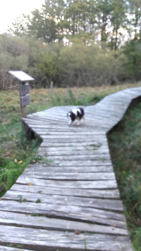 A17FC376-6AF1-47C9-ADDC-EF2570B62588