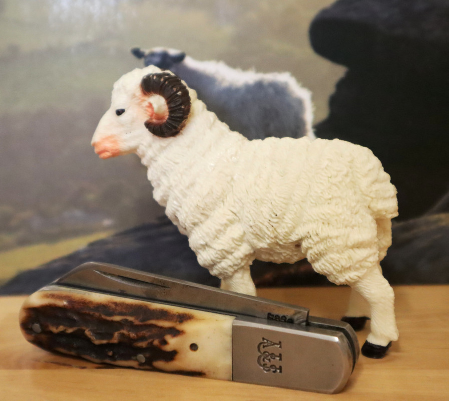 Hartshead Barlow (Stag) 253-5