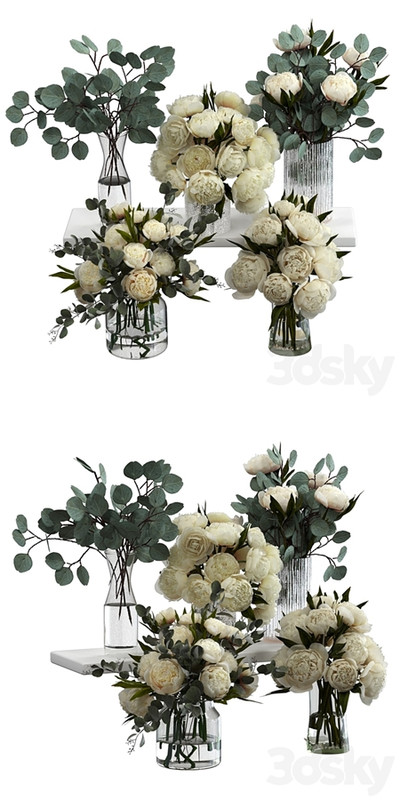 Bouquets of eucalyptus and peonies