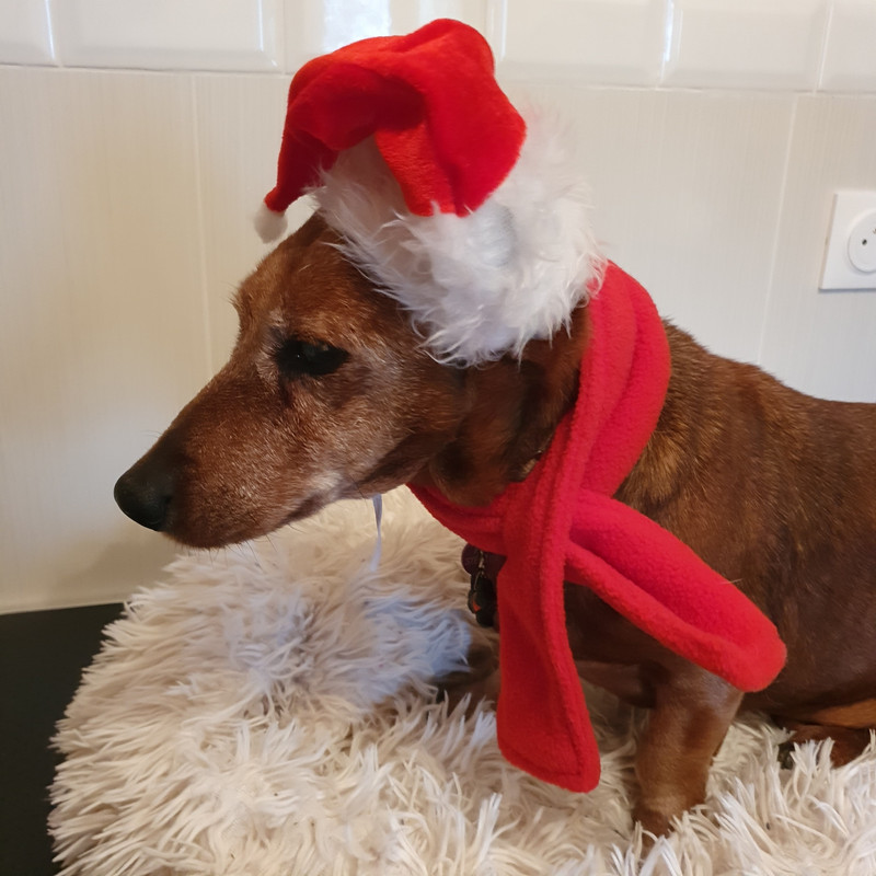 [Image: 20211207-121750.jpg]