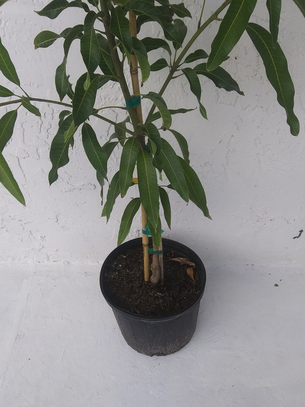 20190907_104933_Burst01