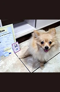 Pet Verificado