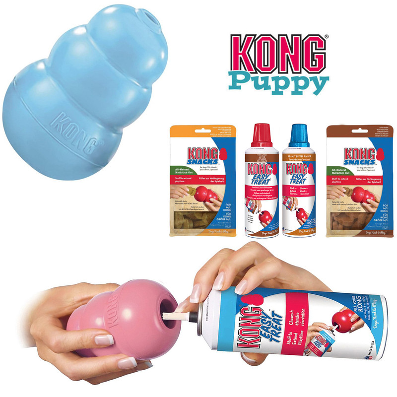 kong puppy toy