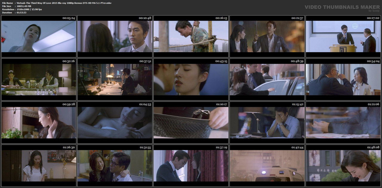 Vietsub-The-Third-Way-Of-Love-2015-Blu-ray-1080p-Remux-DTS-HD-MA-5-1-PTer-mkv.jpg
