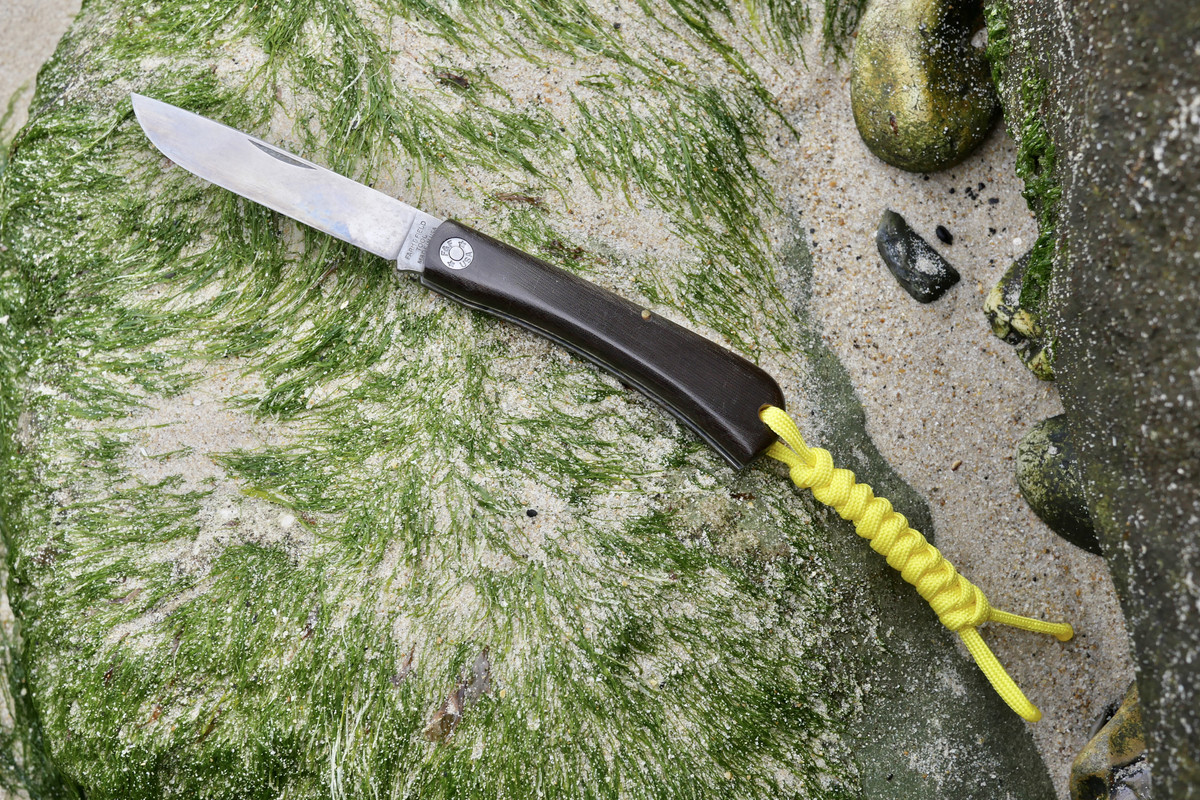 B1C53377-7969-4599-9D46-5995642A44D0