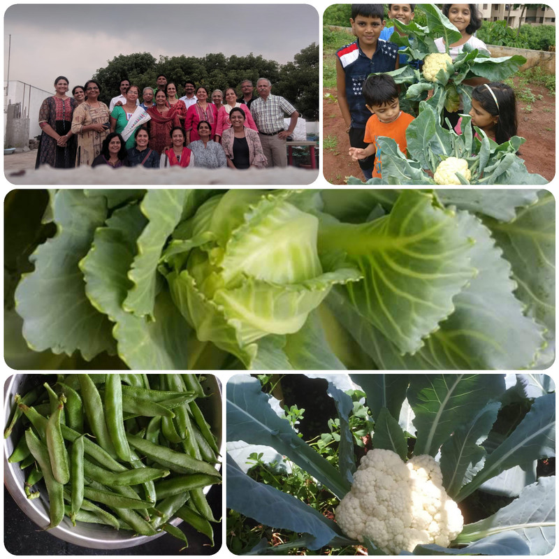 Photo-Collage-20191012-112819613