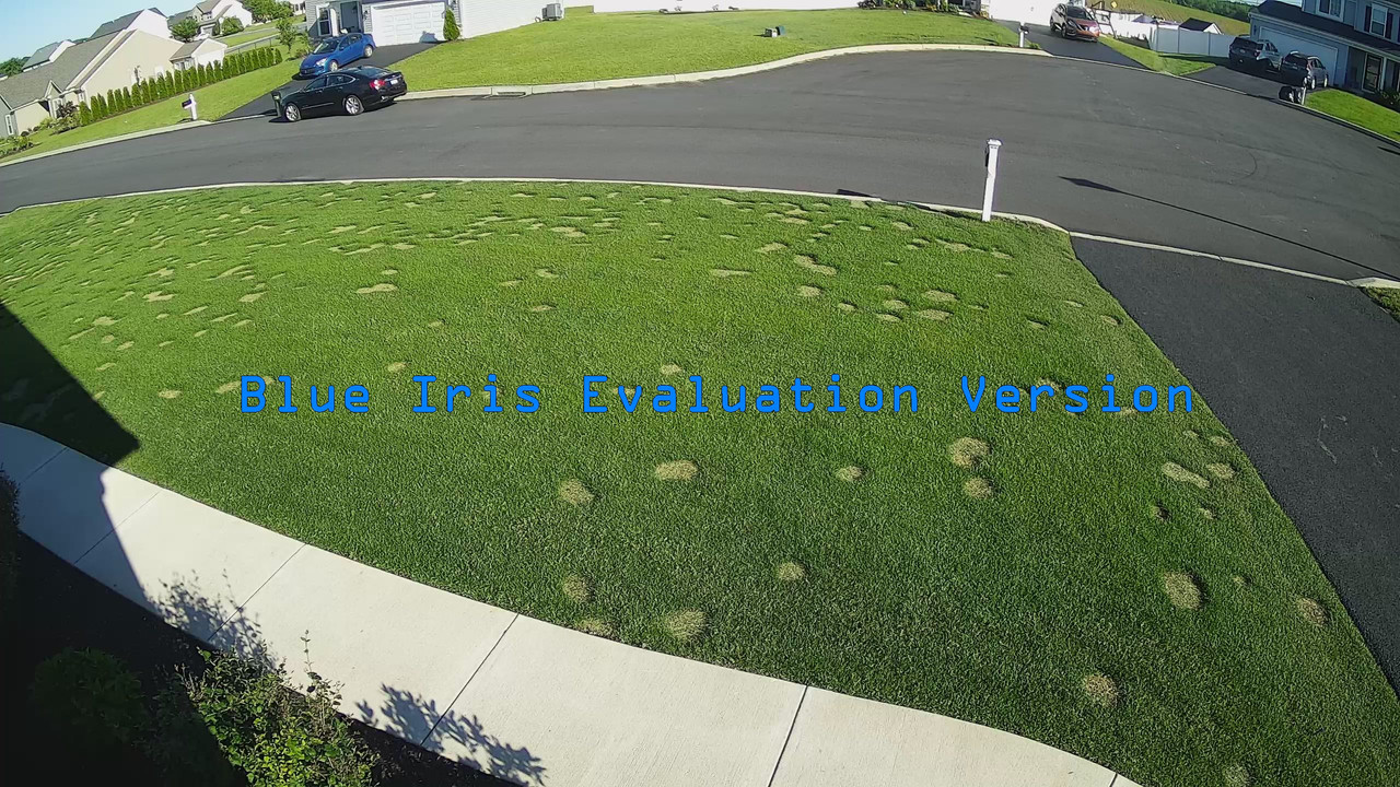 Hazel Court 2020-06-08 08.06.48.540 AM