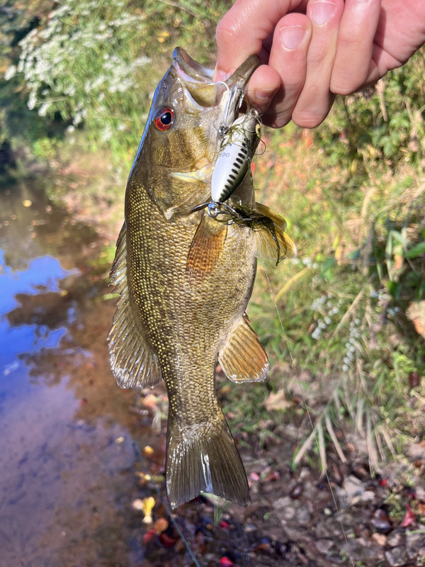 A7D10828-E37C-48D4-82DC-C61F8B86EF8E