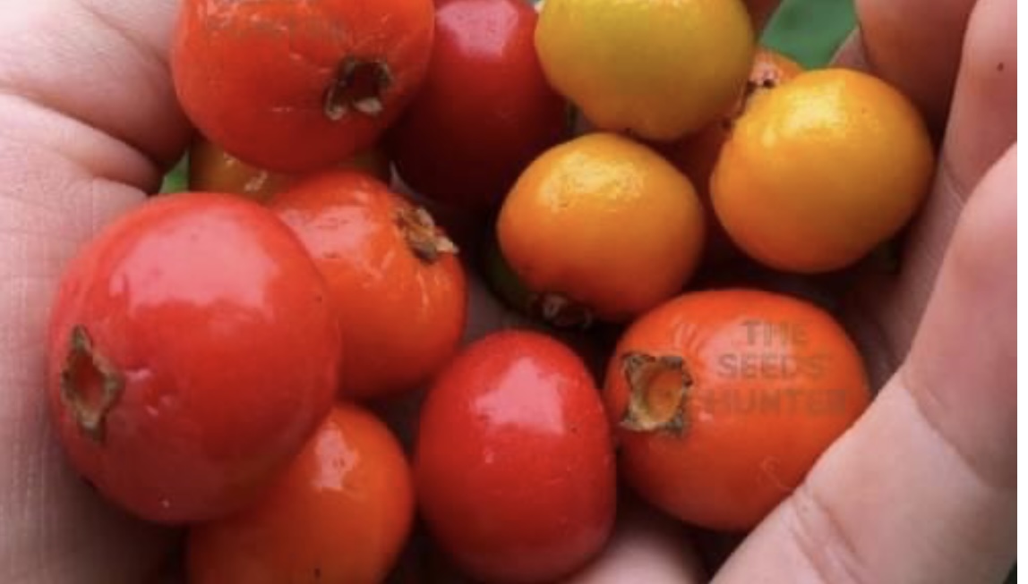 482EC313-0935-4A51-9C48-80774B6F717C