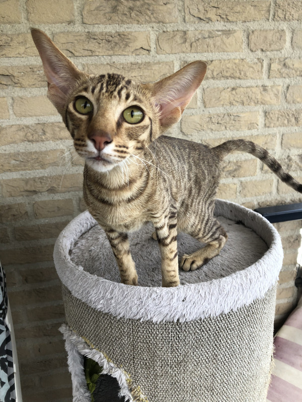 BD08BA73-5498-4B8D-993C-E82237FC07FD