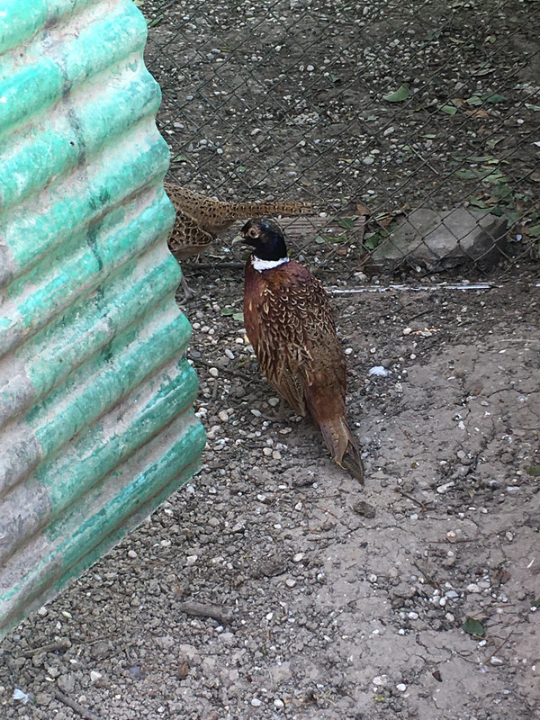 351ED525-8C2C-4A38-A3FD-486791B10601