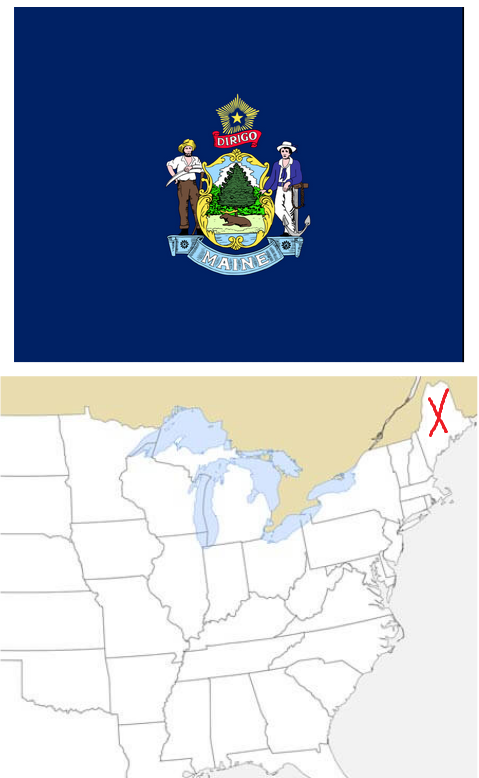 Les États des ÉtatsUnis Twinkl