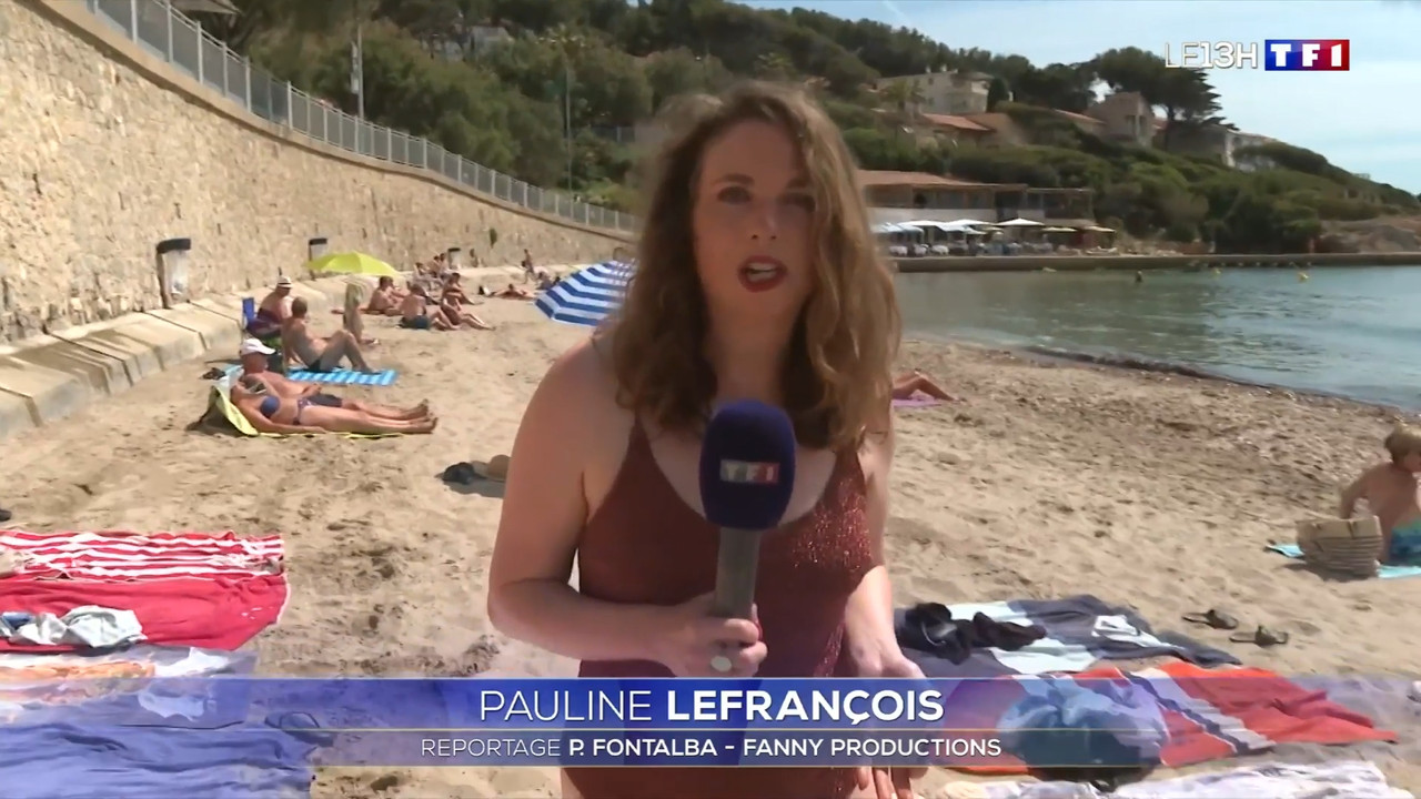 2021-06-11_13_00_TF1_Le-13h.mp4_snapshot_00.28.34.818