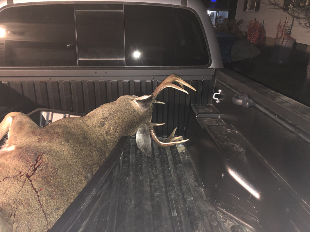 70345D36-C1B7-4BAD-8457-8175BC543B1D