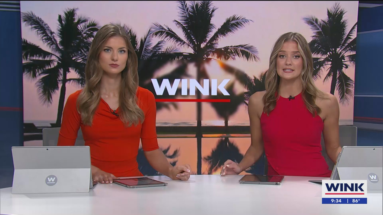 08.10 - 14.00.00 - WINK News at 9 00AM  ᴺᵉʷ. Morning news.ts_snapshot_35.19.742