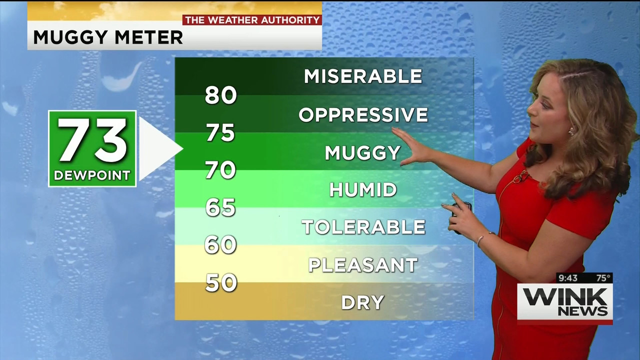 23 May - 14.00.00 - WINK News @ 9 00AM..ts_snapshot_00.47.55_[2020.05.23_17.14.11]