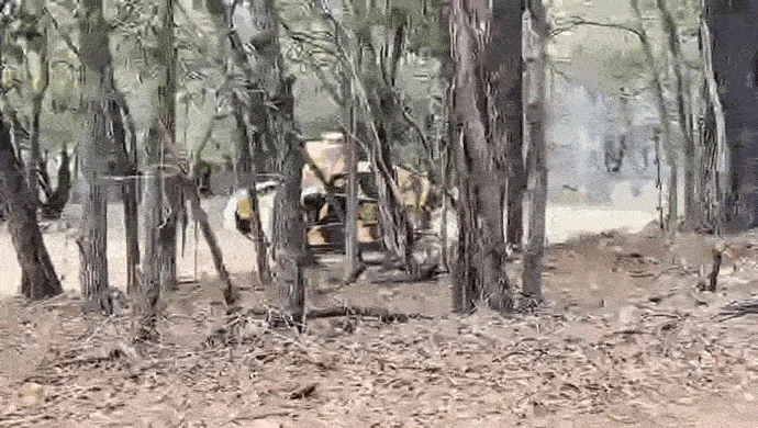 https://i.postimg.cc/c1bsQ1CF/video-2026-06-10-06-01-52-(1).gif