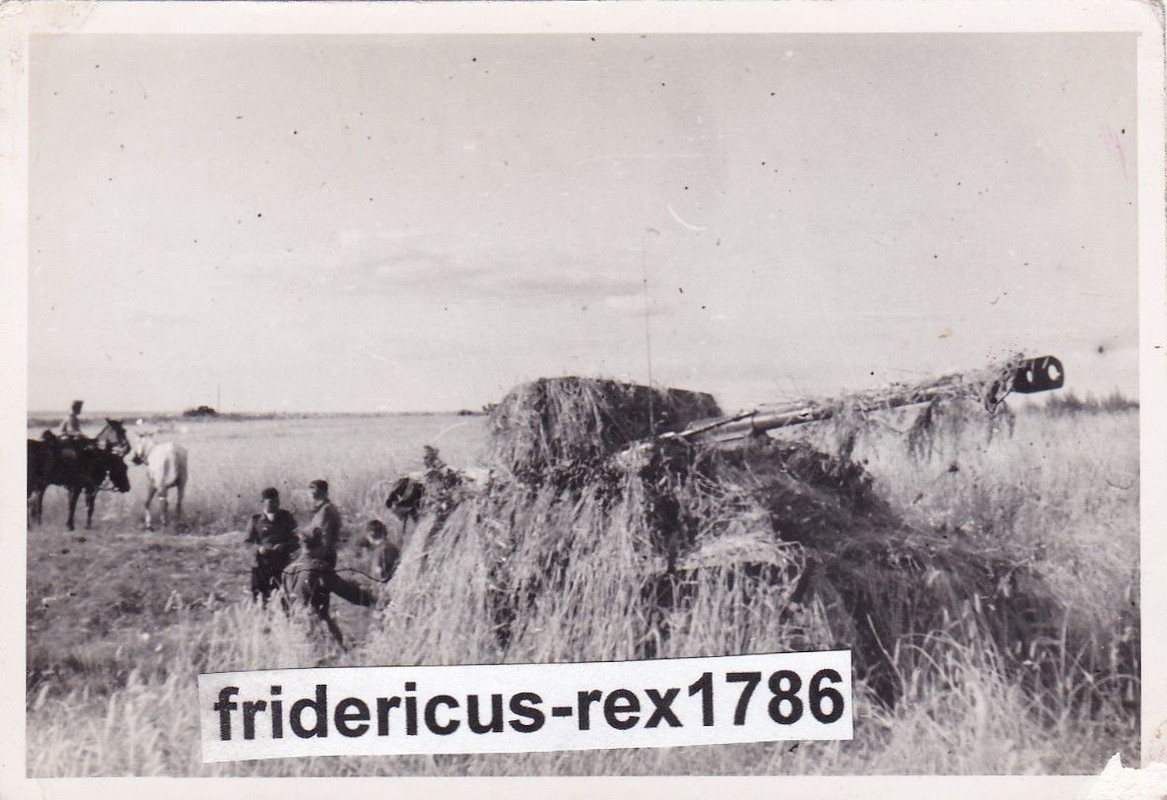 Foto Panzer Tank Sd. Kfz. Panzerjäger an der Front in voller Tar