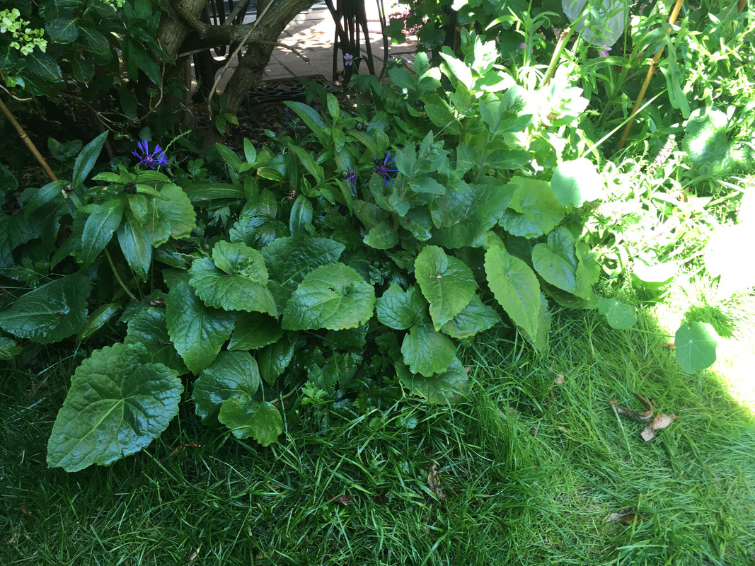 8D459E82-D027-44F1-AC25-B9651E113459