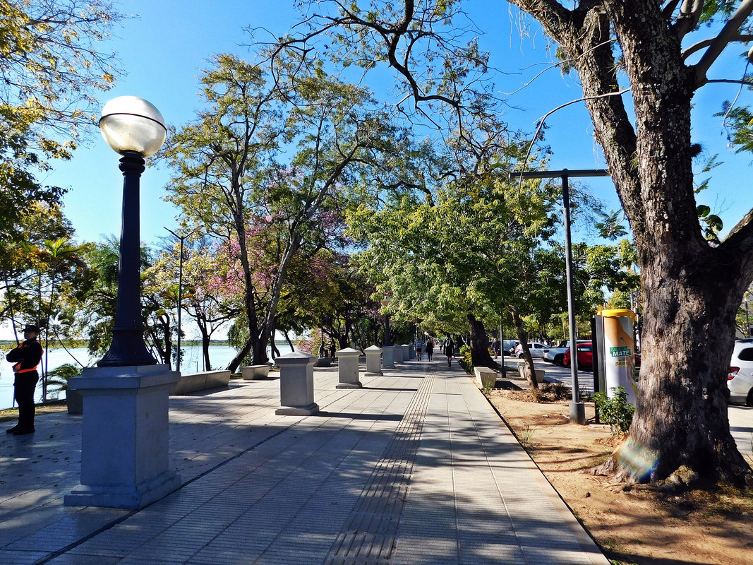 DSCN0381.jpg