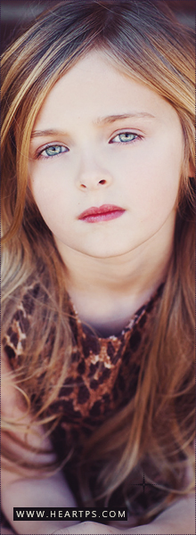 ���� ���� ������ �� ���� ������