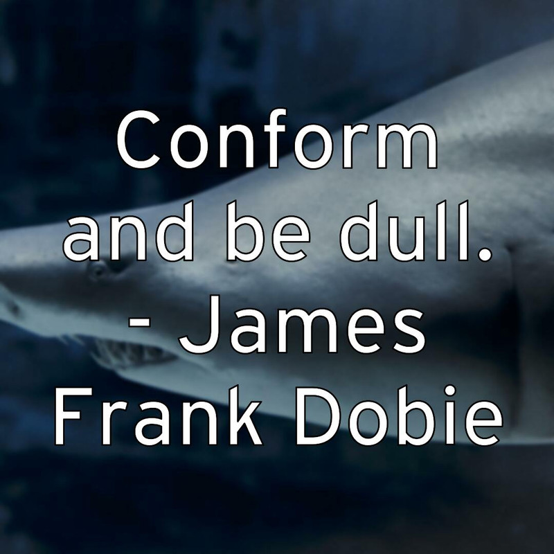 conform-and-be-dull-james-frank-dobie