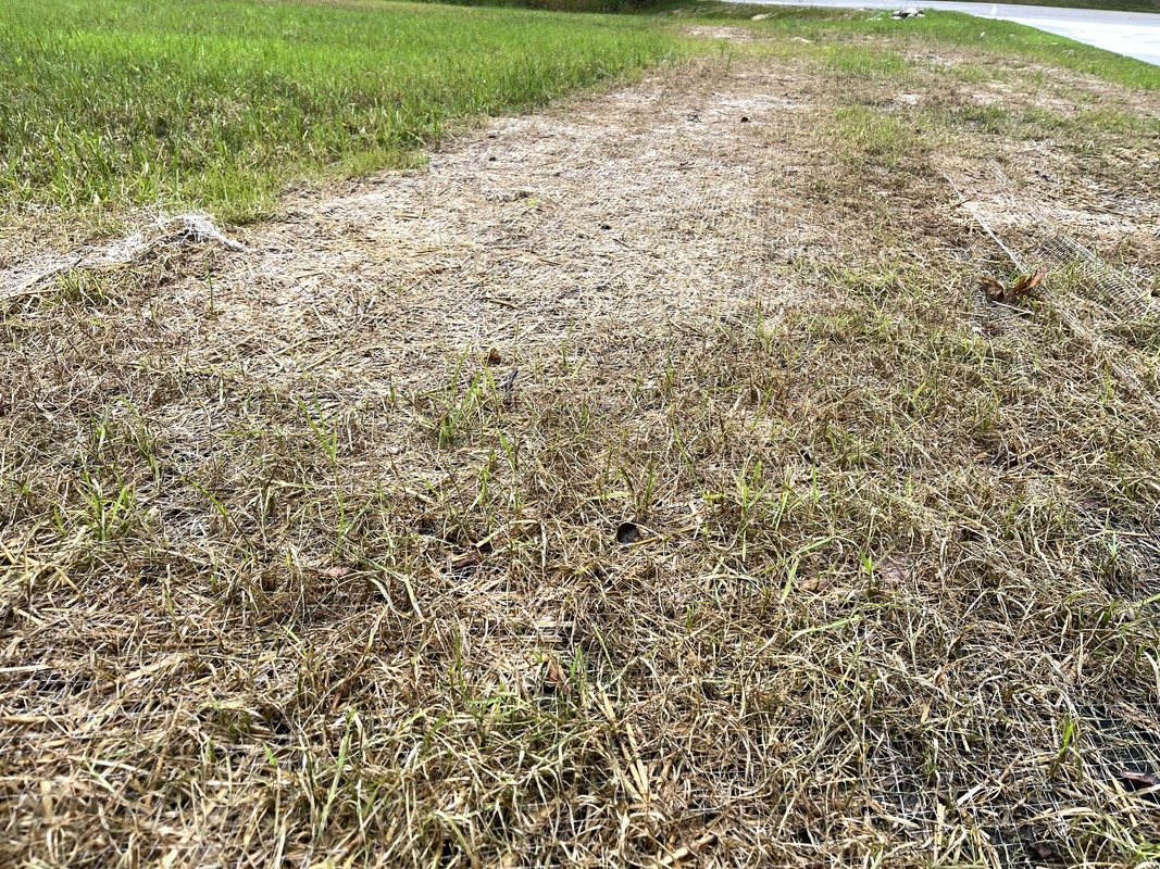 11A16749-42DB-44D8-89D9-93223DA7763A