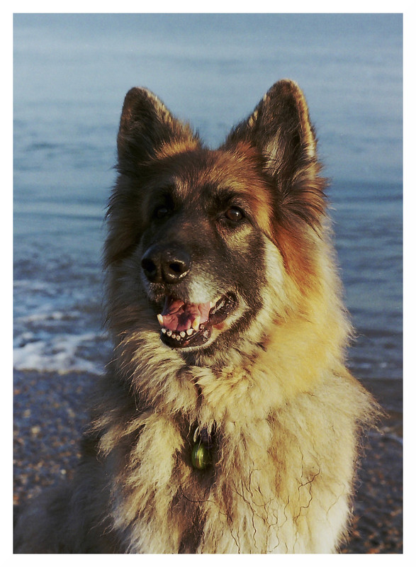 Bonnie April 2016