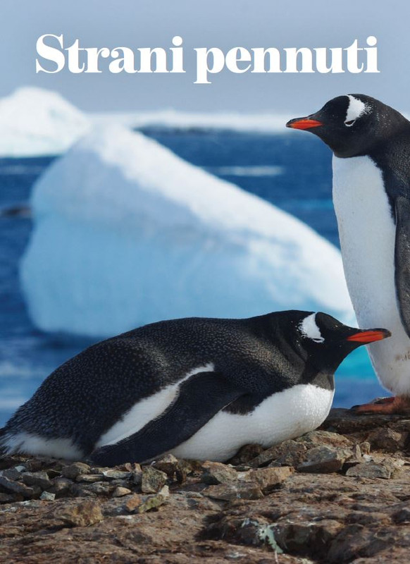 melaverde Gen 2022 (1)