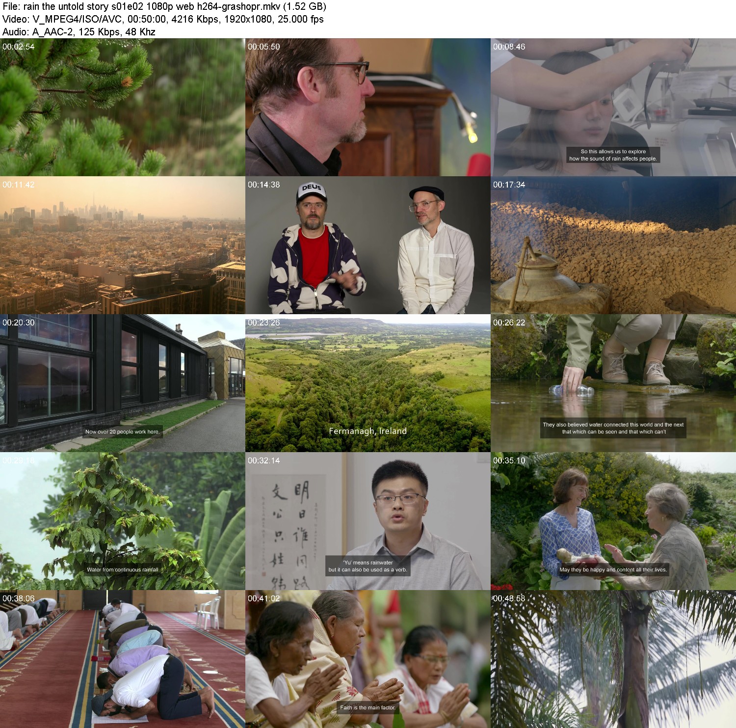 [Image: vcbwp8jb84b4.jpg]