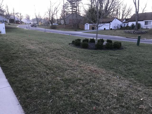 E3D7BB86-F6BC-478E-83AA-D08ECDEAEC53