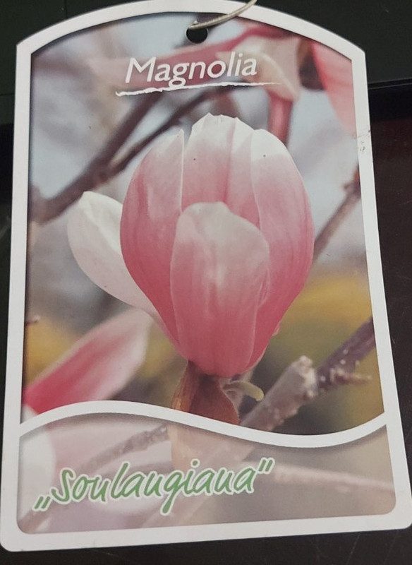 viber_изображение_2023-05-18_19-48-06-899 (2)