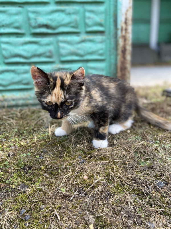 2B12E4EB-C422-49AD-97D0-0872F19CDF4A