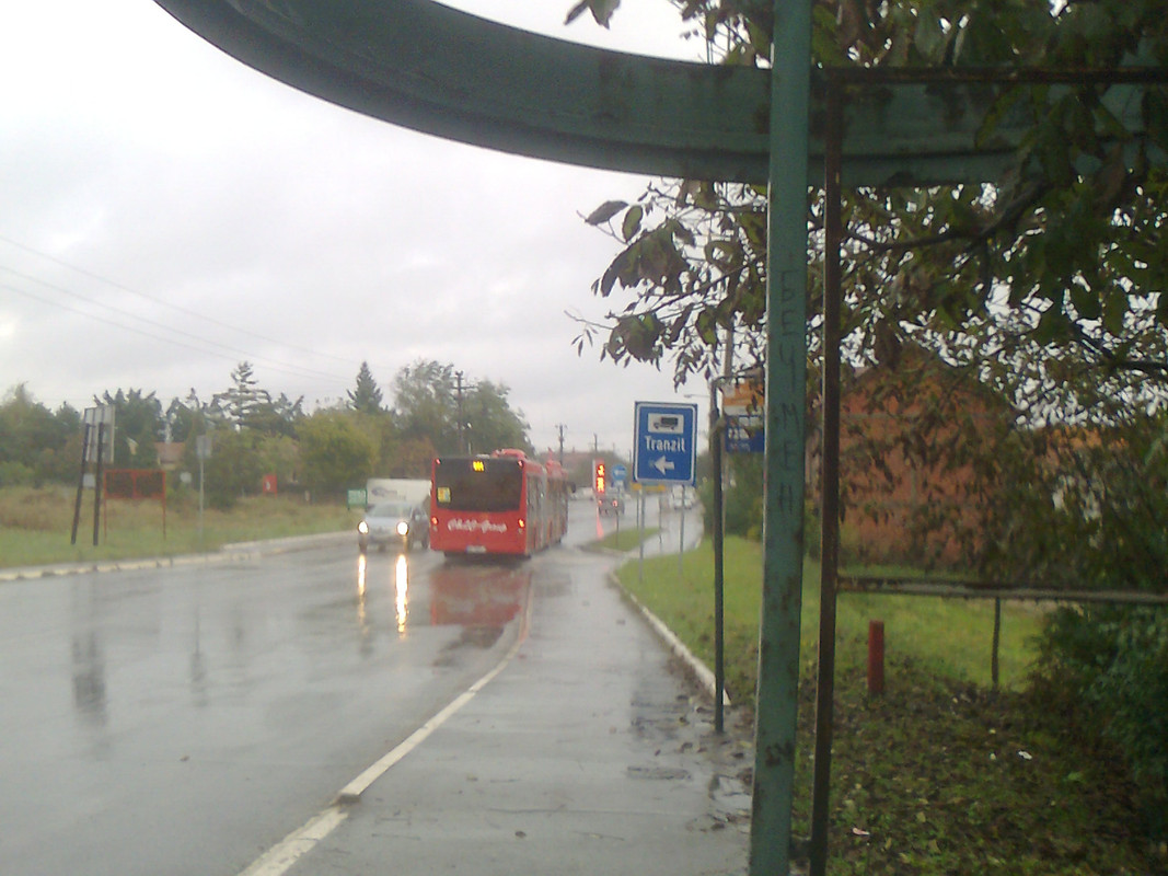 Slika51023