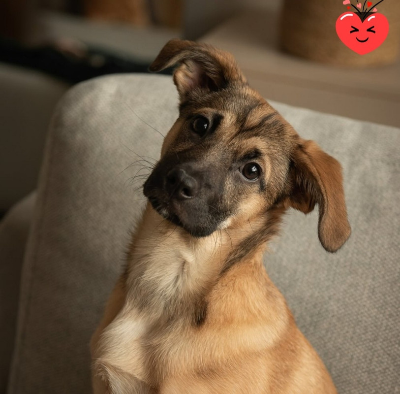 Screenshot_20231231-162920_Gallery