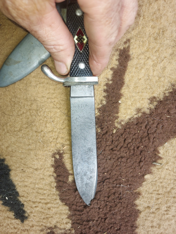 Resized 20240720 153214