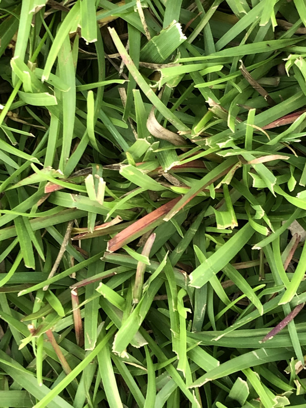 72A1306B-4600-4356-B595-51A4842EB99A