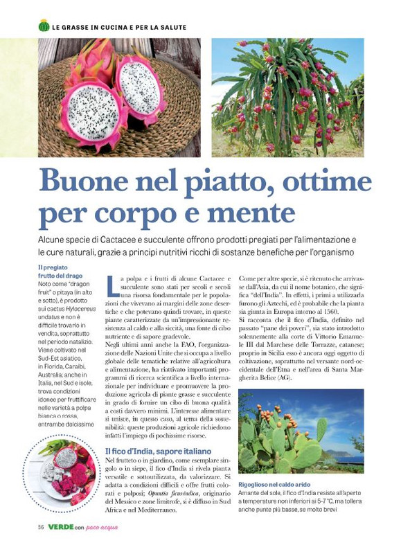 Pol Ver Spec Giu-Lug 2024 (7)