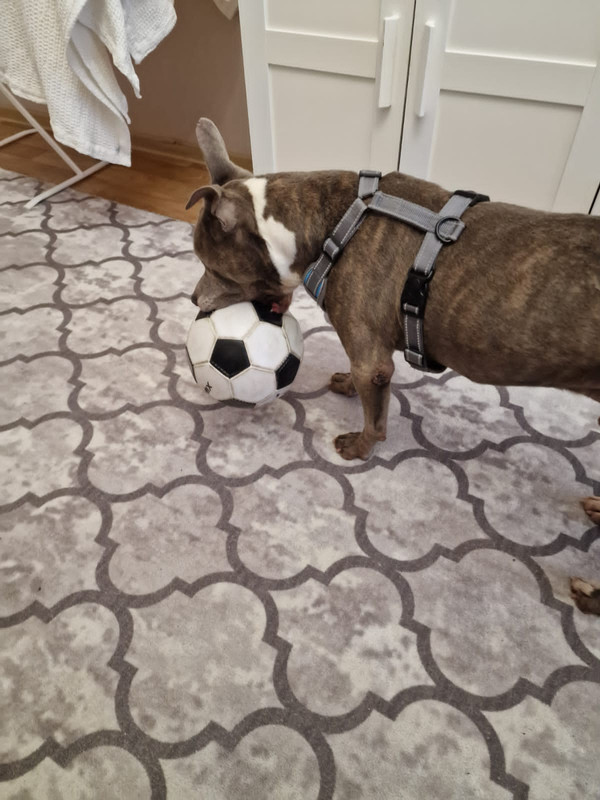 B0B0F33F-2A56-4446-A298-6AFCE832FFC9