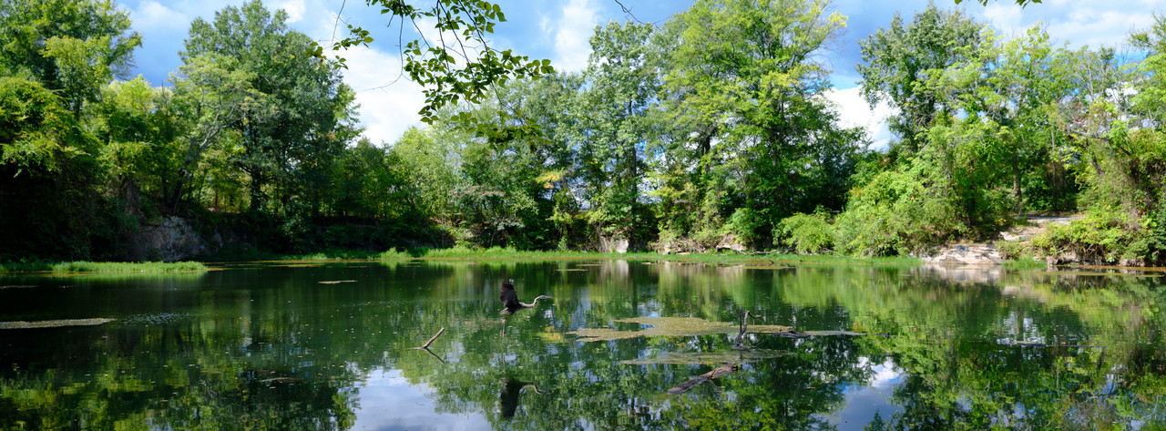 DSCF9858