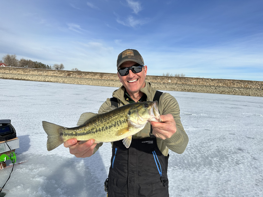 C50701E9-8064-445F-93D2-87112EDDAEFB