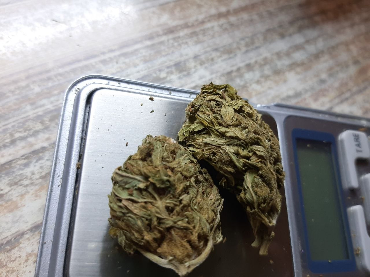 photo 2026 03 25 18 29 32