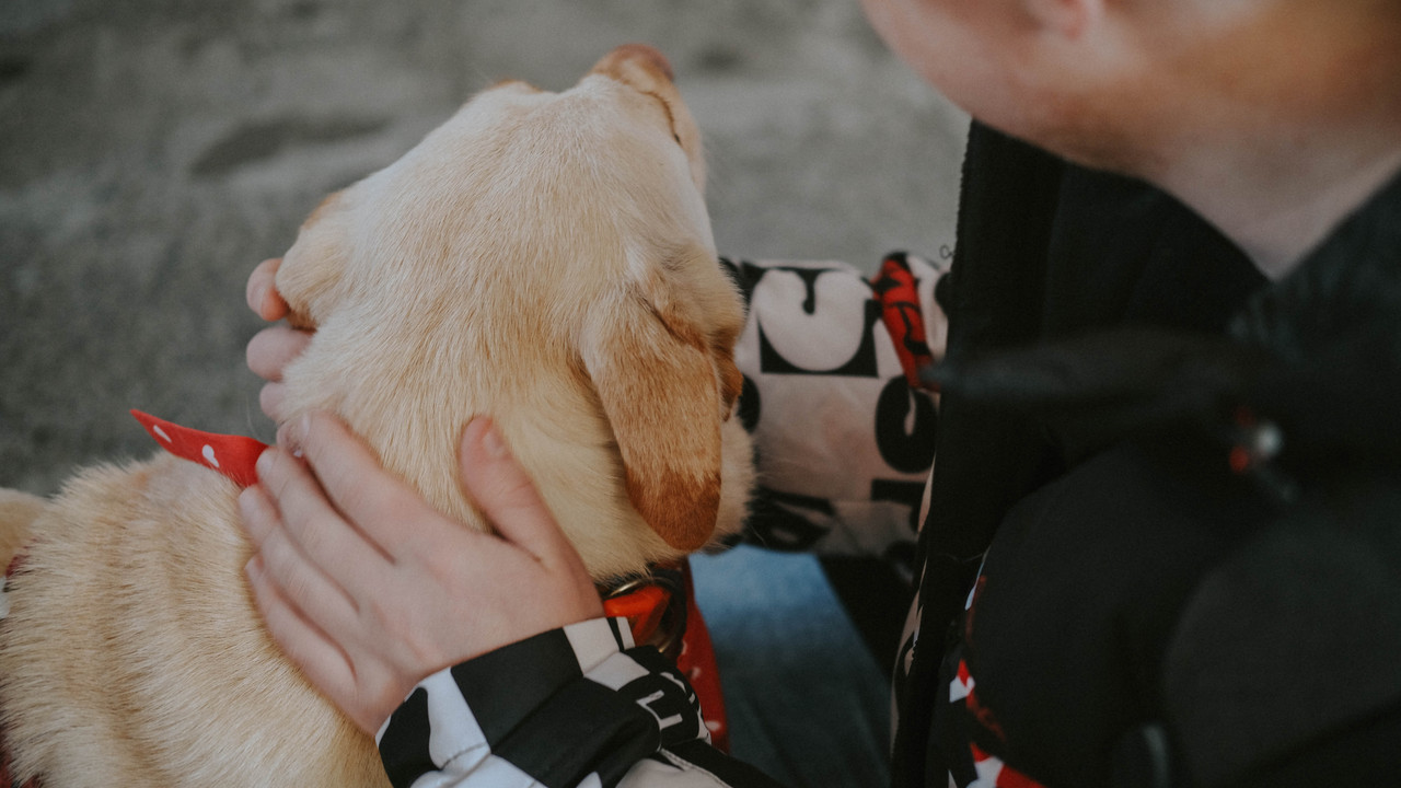 564E742C-23AA-4BB7-8BCB-4276D3C757D3