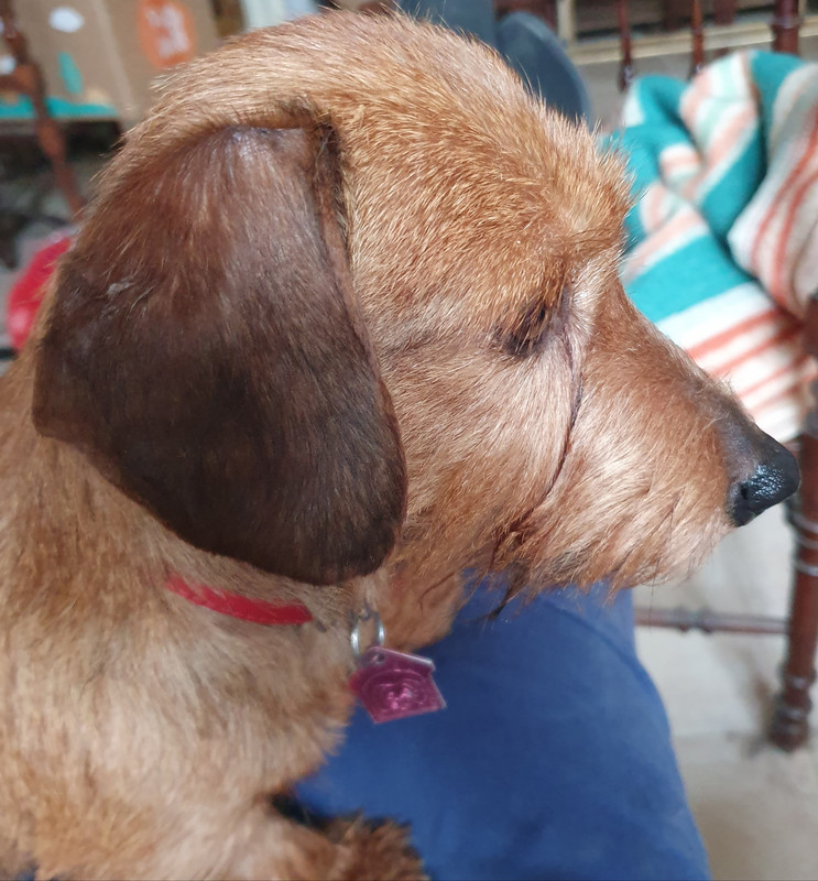 [Image: 20210111-133317.jpg]