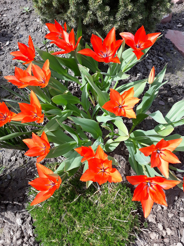 20180407_140312