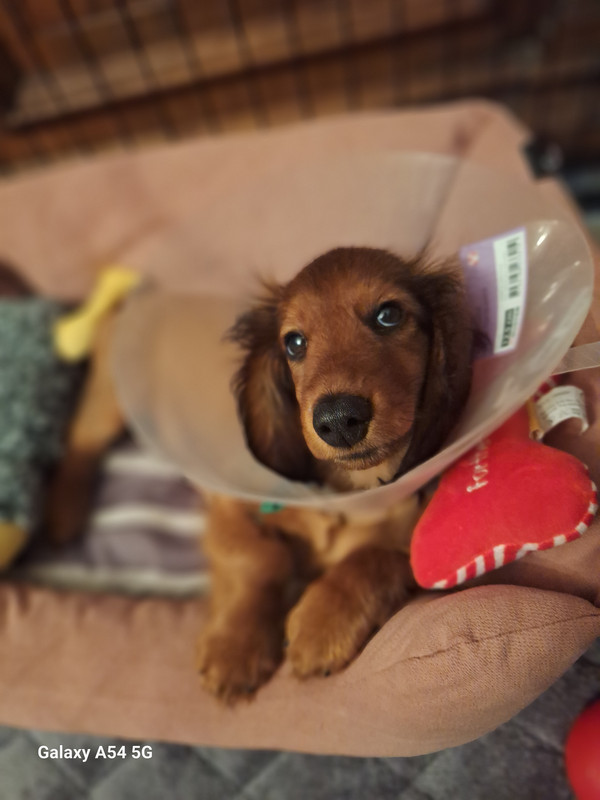 [Image: 20240915-212153.jpg]