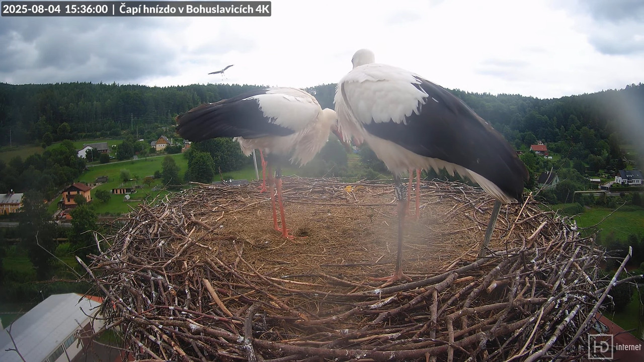 Tiešraide no KARA uzņēmuma stārķu skursteņa Bohuslavicē netālu no Trutnovas 14-48-47 screenshot (1)