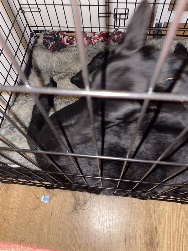 1BC2526D-7691-4FB5-8773-A64BC239BDCD