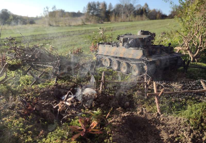 IMG_20241024_155326993